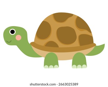 Cartoon Illustration of a Turtle