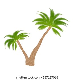 Cartoon illustration of two palm trees vector icon for web