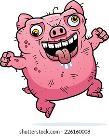 A cartoon illustration of an ugly pig looking crazy.