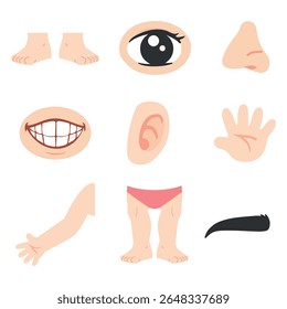 Cartoon Illustration of Various Human Body Parts flat