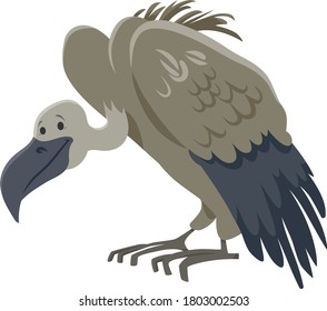 Cartoon Illustration of Vulture Bird Funny Wild Animal Character