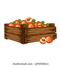 Cartoon Illustration of Wooden Box with Peach. Fruits in Big Wooden Container Vector Isolated on White Background