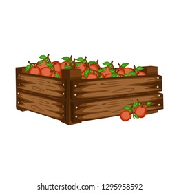 Cartoon Illustration of Wooden Box with Ximenia. Berries in Big Wooden Container Vector Isolated on White Background