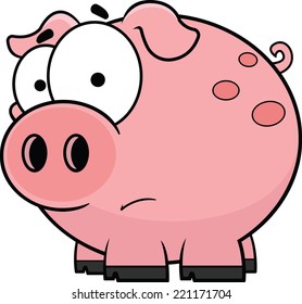 Cartoon illustration of a worried little pig. 