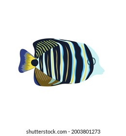 Cartoon illustrations of butterflie fish isolated on white background.