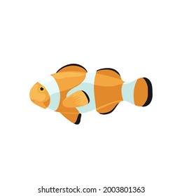 Cartoon illustrations of clown fish isolated on white background.