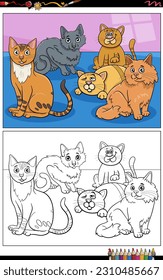 Cartoon illustrations of funny cats and kittens animal characters group coloring page