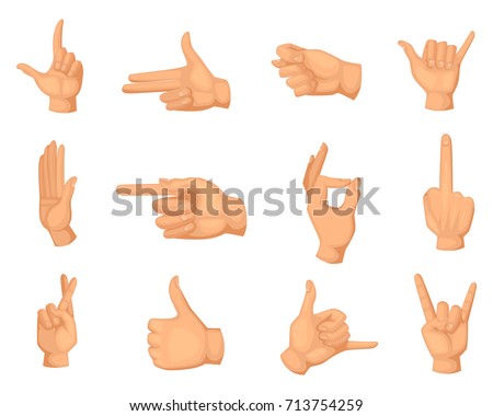 Cartoon illustrations of hands gestures isolated on white. Thumb up and palm, fist and ok symbol vector