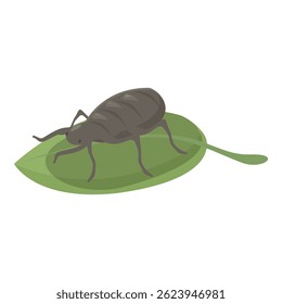 Cartoon image of a large gray beetle with splayed legs standing on top of a bright green leaf