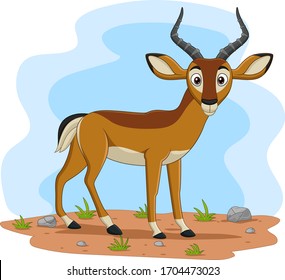 Cartoon impala in the field