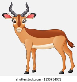 Cartoon impala isolated on white background