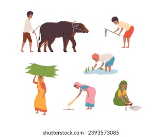 Cartoon Indian farmers, peasants. Traditional rural agricultural hard work ploughing field with bulls, planting rice. Indian rural woman cooking food vector illustrations isolated set