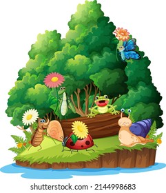 Cartoon insect and beetle in the forest  illustration