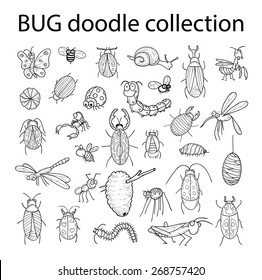 Big Hand Drawn Doodle Set Insects Stock Vector (Royalty Free) 1097009030