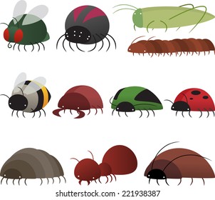 Cartoon insect collection, like: peacock butterfly, fly, bug, ant, locust, wasp, caterpillar, centipede, black widow, moth, beetle, spider, ladybug, dragonfly vector cartoon. 