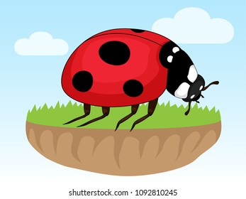 Cartoon insect Design