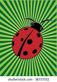 Cartoon insect ladybug center of glowing bright green sunny beams