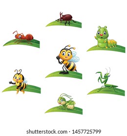 Cartoon insect on leaf collections set