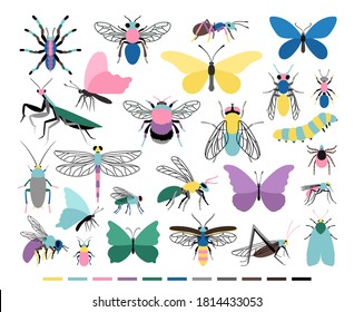 Cartoon insect set. Cute small creatures of entomology science, vector illustration of colored caterpillars and butterflies icons isolated on white background