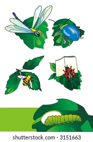 cartoon insects - EPS format (it can be used as an illustration for the children's book)