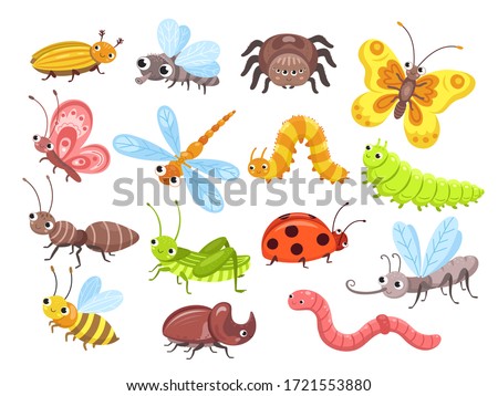 Cartoon insects. Fly bug, cute butterfly and beetle. Funny garden animals. Ant bumblebee and spider ladybug for children vector illustration