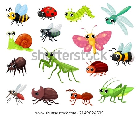 Cartoon insects, funny kid characters, vector cute butterfly, ant and fly, vector bugs. Cartoon bee with dragonfly and spider, ladybug and grasshopper with caterpillar worm and beetle