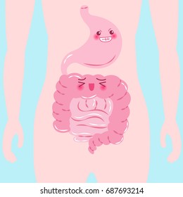cartoon intestine and stomach in the body