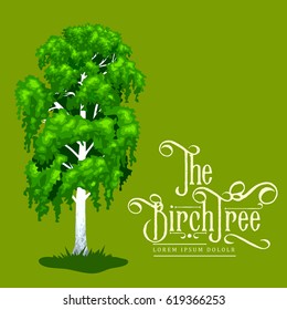Cartoon isolated birch summer tree on a white background icon, outdoor park with branch, leafs on green grass vector illustration