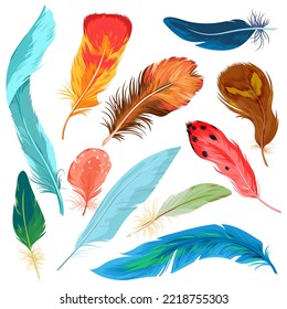 Cartoon isolated colorful nature collection with beautiful bright plumage decoration of different tropical birds, plume feather from wing of exotic flying animals. Feathers set vector illustration