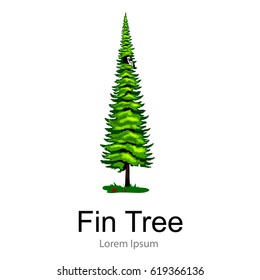 Cartoon isolated fin summer tree on a white background icon, outdoor park with branch, leafs on green grass vector illustration