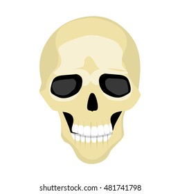 Cartoon isolated human skull on white background. Human skeletone. Symbol of death, pirates and warning.