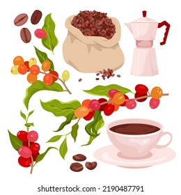 Cartoon isolated red berry fruit hanging on branches of plant with green leaves and flowers on twig, bag with organic seeds, coffee maker and cup with caffeine drink. Coffee set vector illustration