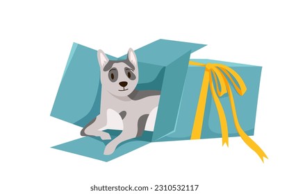 Cartoon isolated round box with lid, bow and ribbons, brown cute puppy sitting in box for surprise present on celebration and adoption. Happy funny small dog in open gift box vector illustration