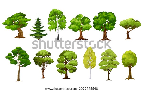 Cartoon Isolated Vector Trees Forest Garden Stock Vector (Royalty Free ...