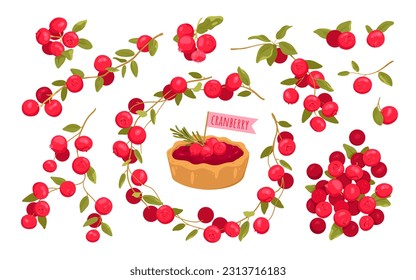 Cartoon isolated vitamin red berry fruit on branch with leaf, summer twig of botanical plant and organic food ingredient for portion cranberry sweet cake or tart. Cranberry set vector illustration