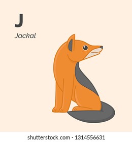 Cartoon jackal, cute character for children. Vector illustration in cartoon style. Animal alphabet.