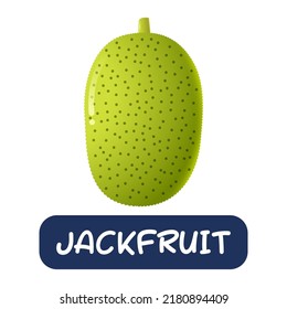 cartoon jackfruit fruit vector isolated on white background