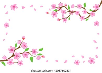 Cartoon japanese cherry blossom and falling petals background. Sakura branches with pink flowers banner Blooming spring tree vector frame. Japanese traditional plant with beautiful buds