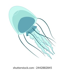 Cartoon jellyfish flat style. Medusa vector illustration. Modern flat illustration Jellyfish isolated on white background. Vector illustration