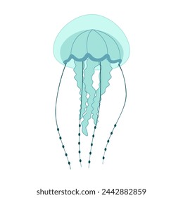 Cartoon jellyfish flat style. Medusa vector illustration. Modern flat illustration Jellyfish isolated on white background. Vector illustration