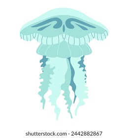 Cartoon jellyfish flat style. Medusa vector illustration. Modern flat illustration Jellyfish isolated on white background. Vector illustration