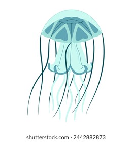 Cartoon jellyfish flat style. Medusa vector illustration. Modern flat illustration Jellyfish isolated on white background. Vector illustration