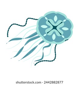 Cartoon jellyfish flat style. Medusa vector illustration. Modern flat illustration Jellyfish isolated on white background. Vector illustration