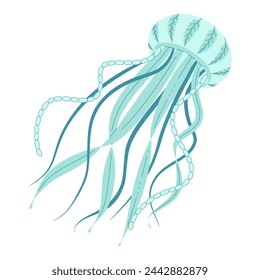 Cartoon jellyfish flat style. Medusa vector illustration. Modern flat illustration Jellyfish isolated on white background. Vector illustration