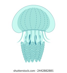 Cartoon jellyfish flat style. Medusa vector illustration. Modern flat illustration Jellyfish isolated on white background. Vector illustration