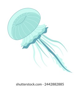 Cartoon jellyfish flat style. Medusa vector illustration. Modern flat illustration Jellyfish isolated on white background. Vector illustration