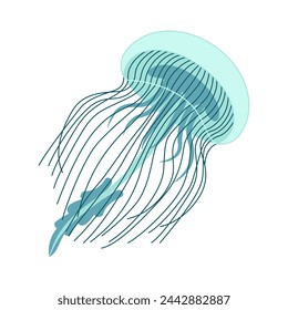 Cartoon jellyfish flat style. Medusa vector illustration. Modern flat illustration Jellyfish isolated on white background. Vector illustration