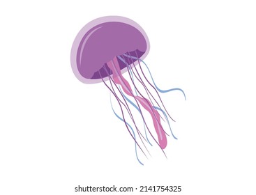Canteras de caricatura de estilo plano. Ilustración vectorial de medusas aisladas en fondo blanco