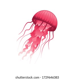 Cartoon a jellyfish on a white background. Vector illustration.