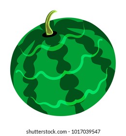 Cartoon Juicy Watermelon vector illustration iisolated on white background